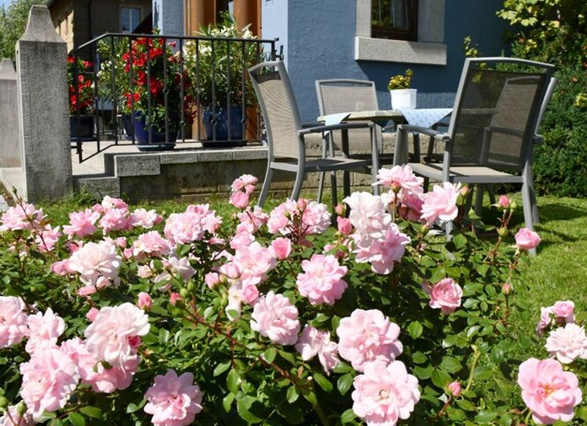 Patio Billede