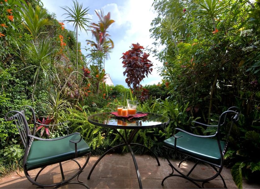 Patio Billede