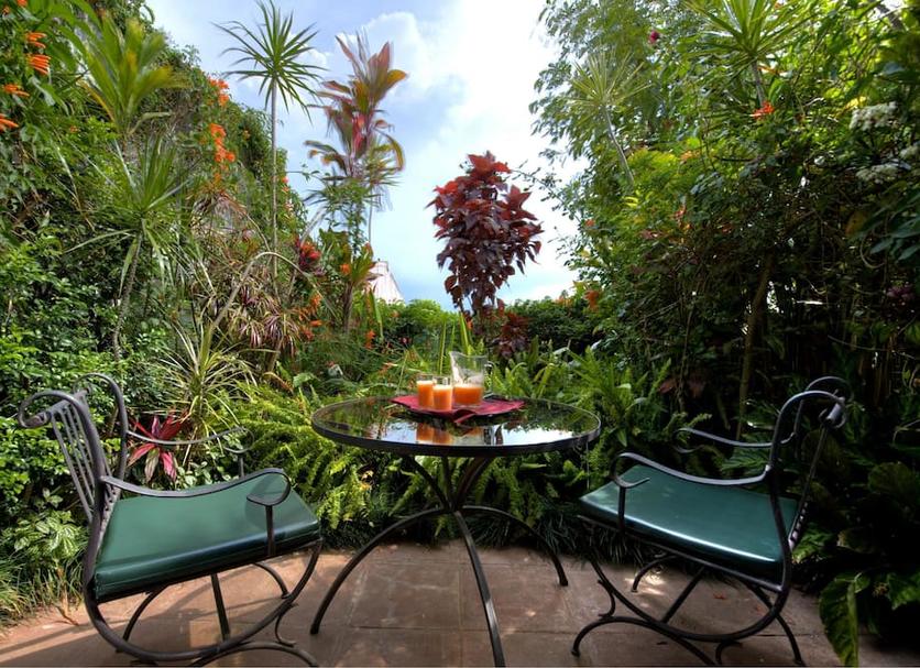 Patio Billede