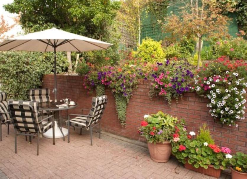 Patio Billede