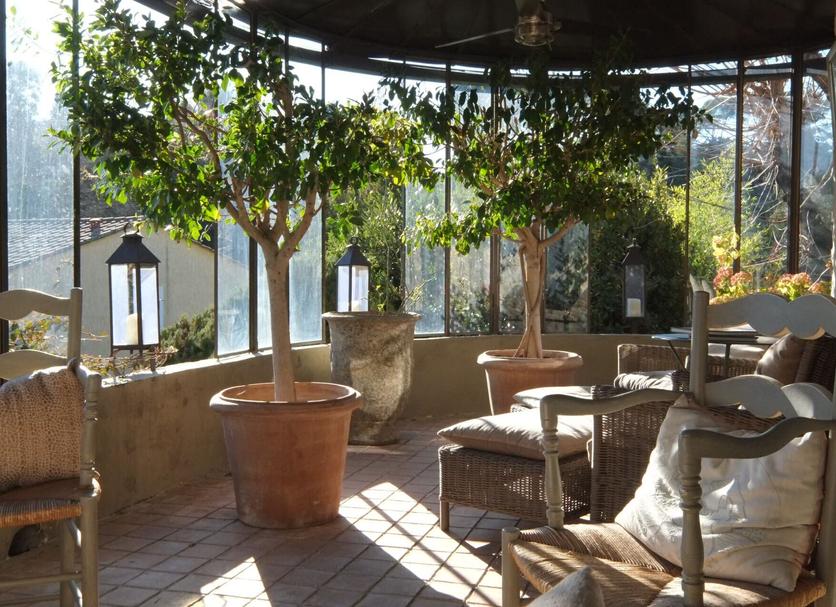 Patio Billede