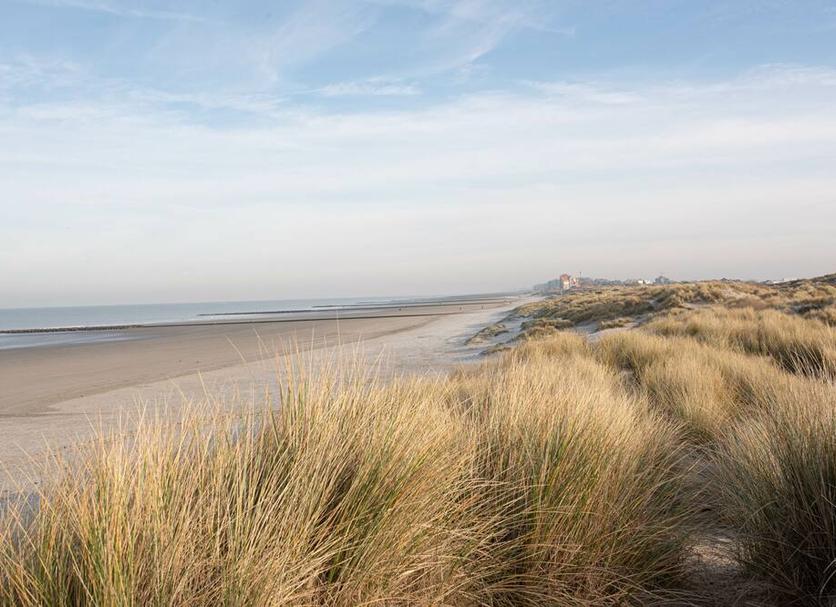 Strand Billede