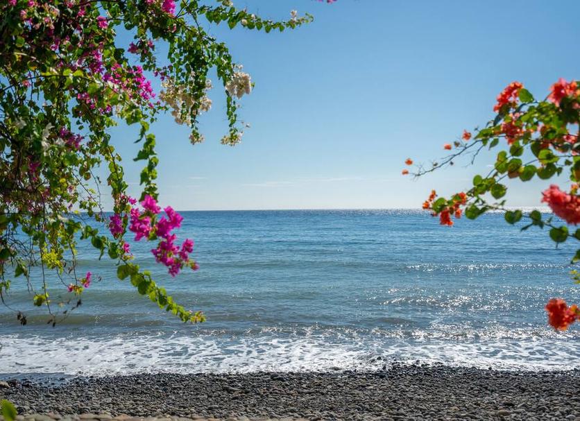 Strand Billede