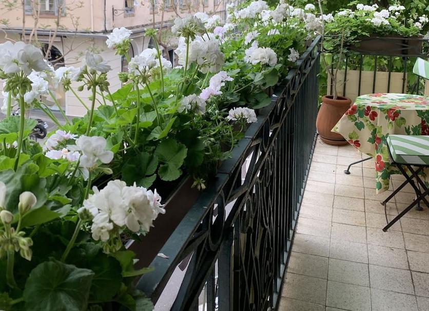 Balkon Billede