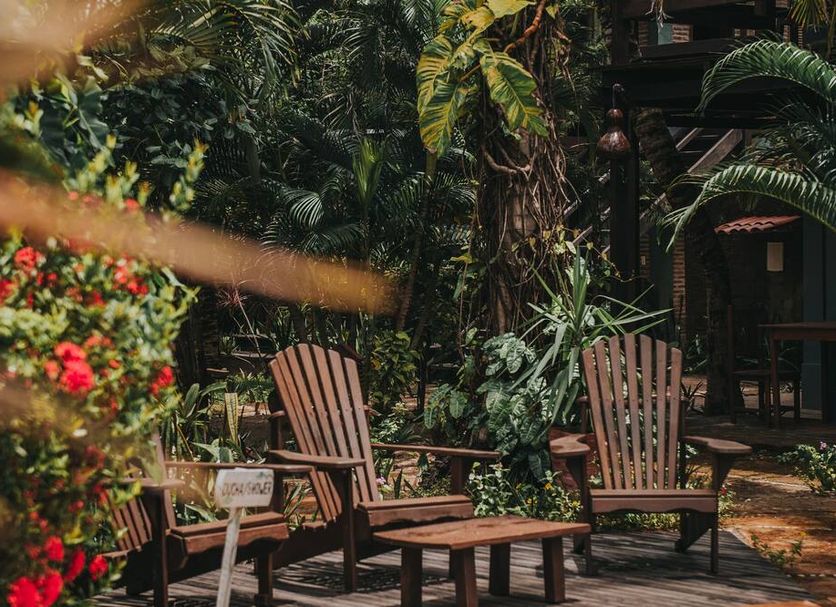 Patio Billede