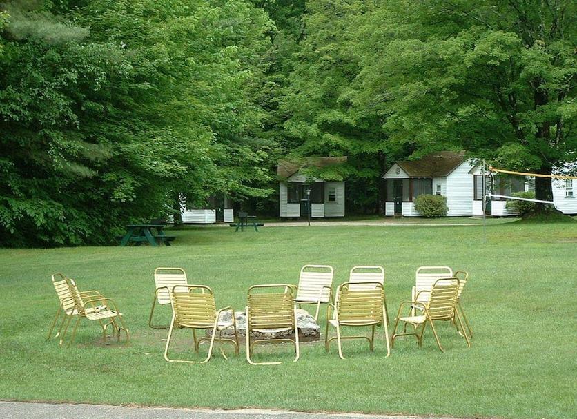 Patio Billede