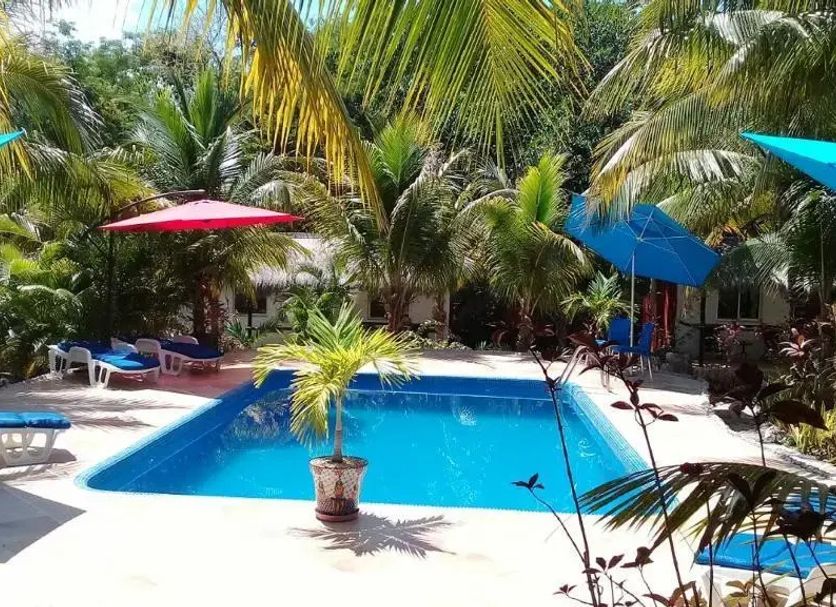 Pool Billede