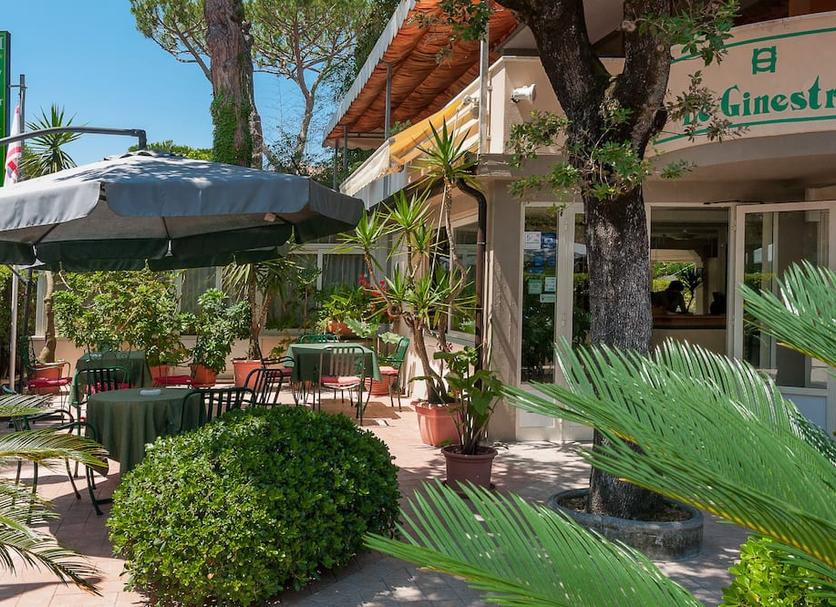 Patio Billede