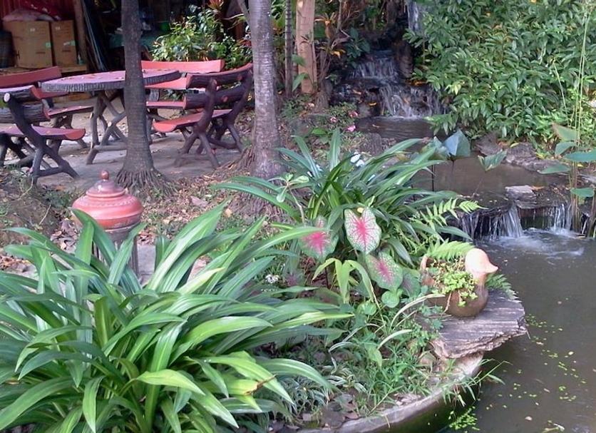 Patio Billede