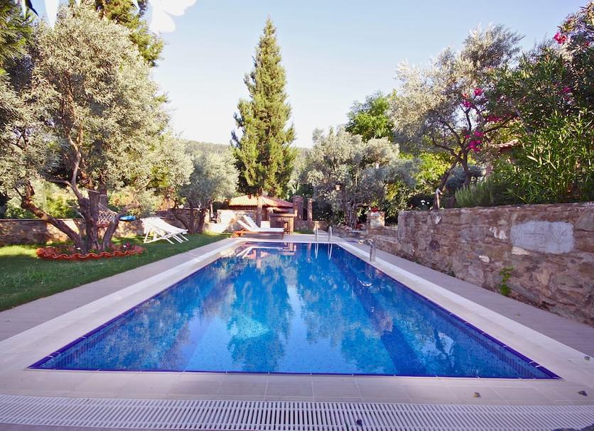 Pool Billede