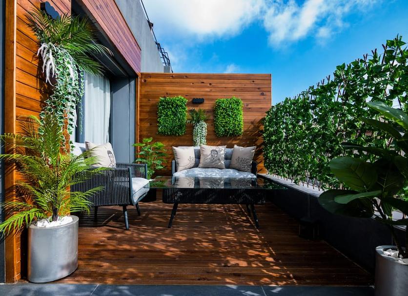 Patio Billede