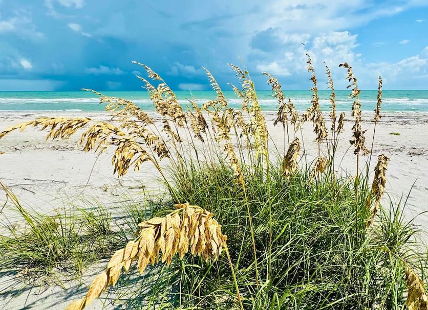 Strand Billede