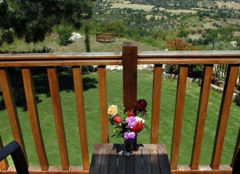 Balkon Billede
