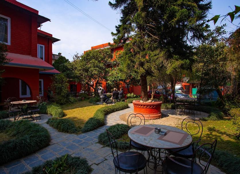 Patio Billede