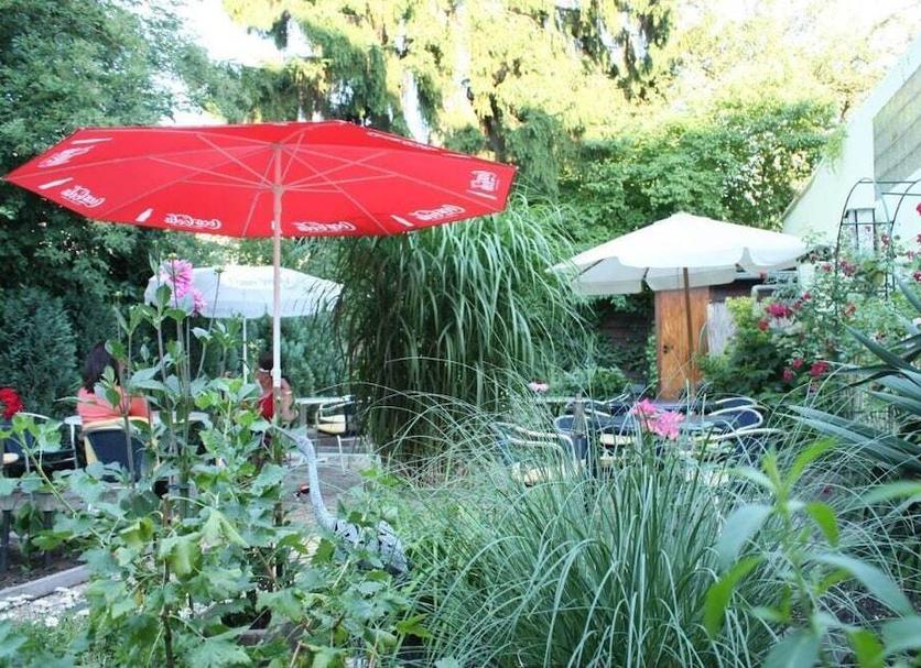 Patio Billede