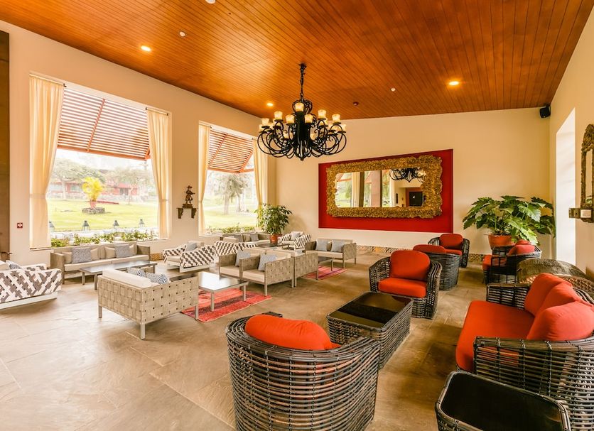Lounge Billede