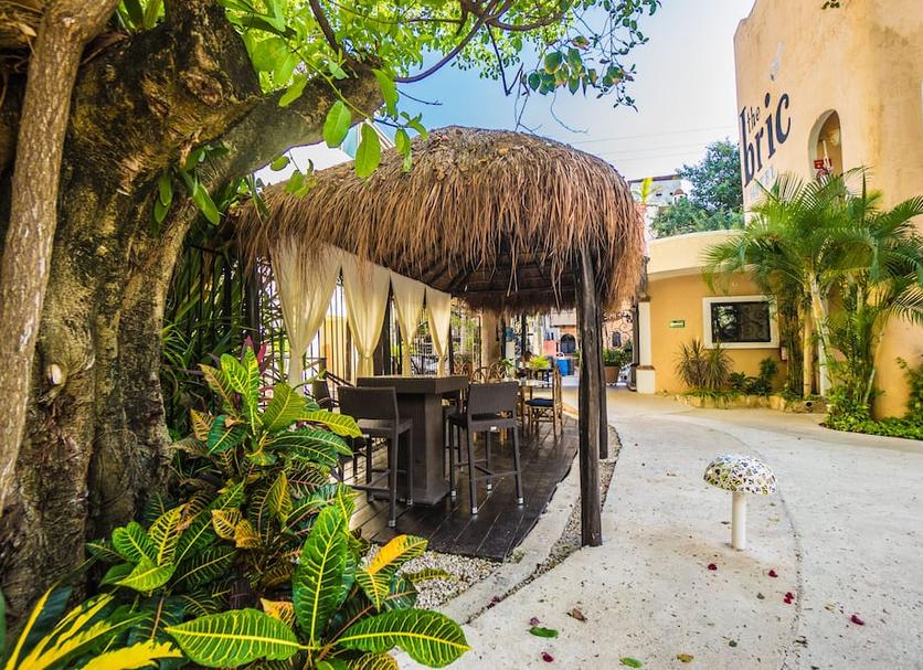 Patio Billede