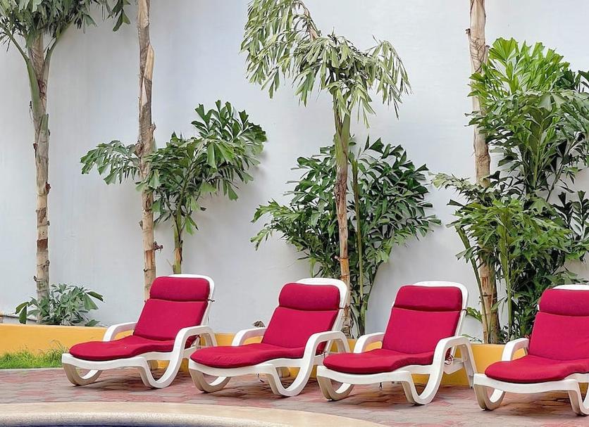 Patio Billede