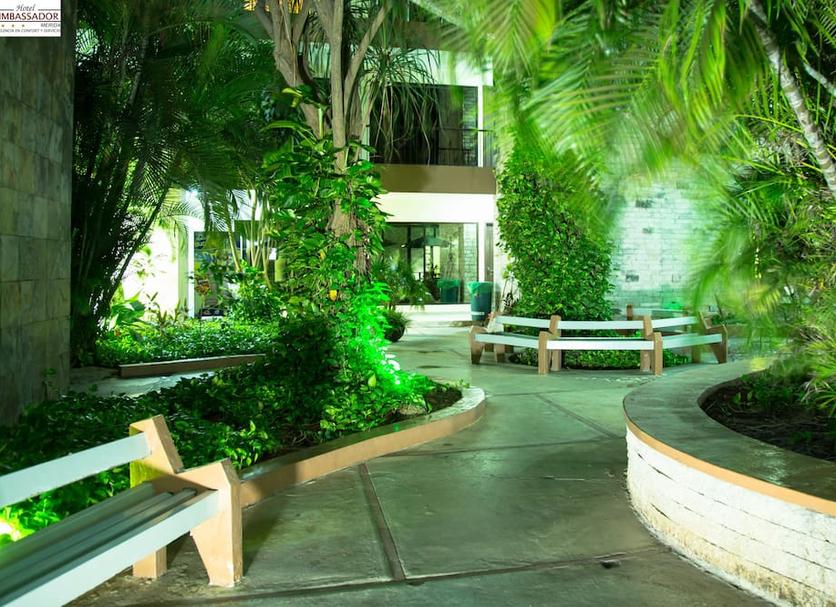 Patio Billede