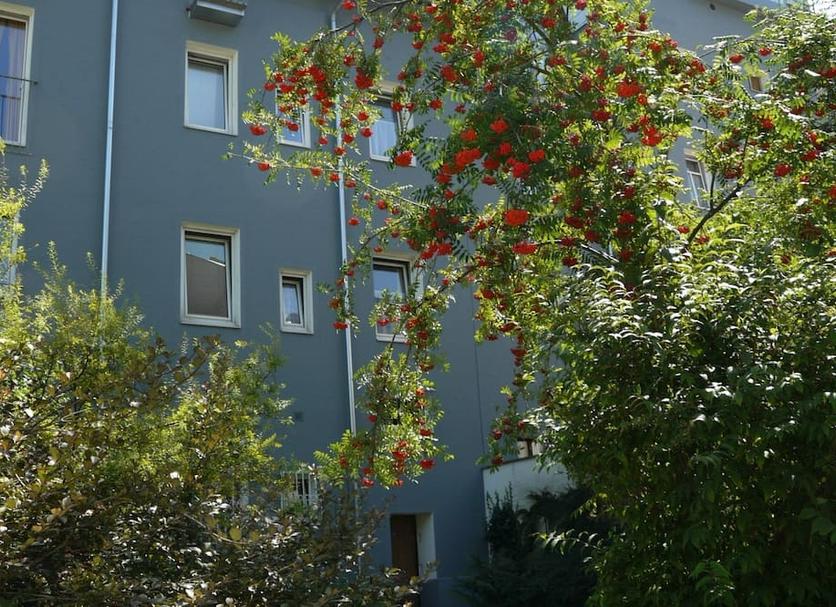 Udsigt Billede
