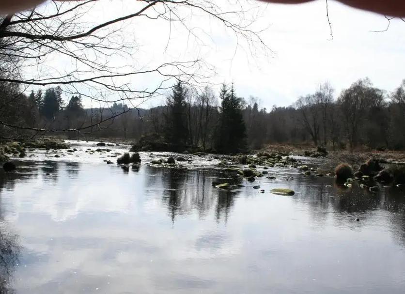 Andet Billede