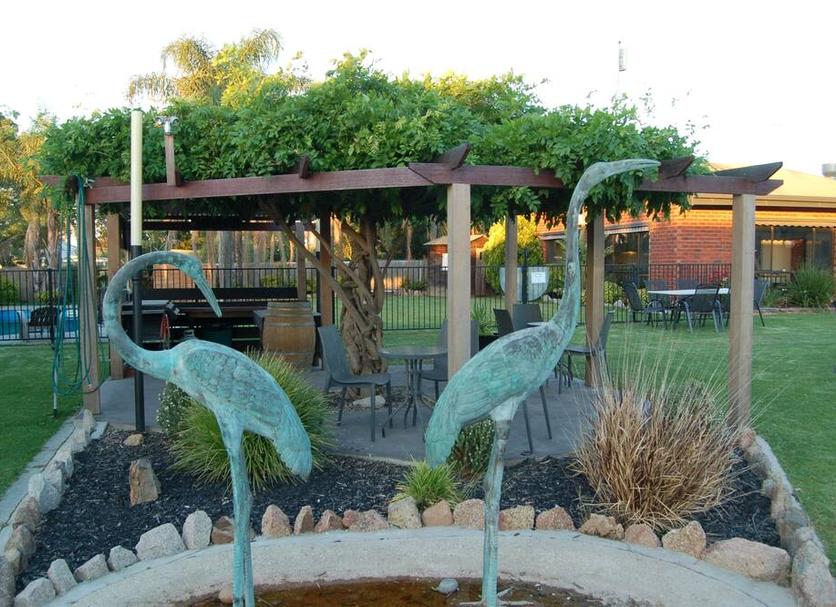 Patio Billede