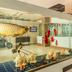 Receptionist