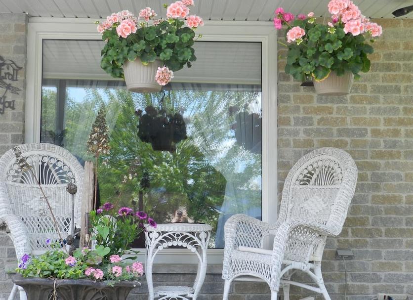 Patio Billede