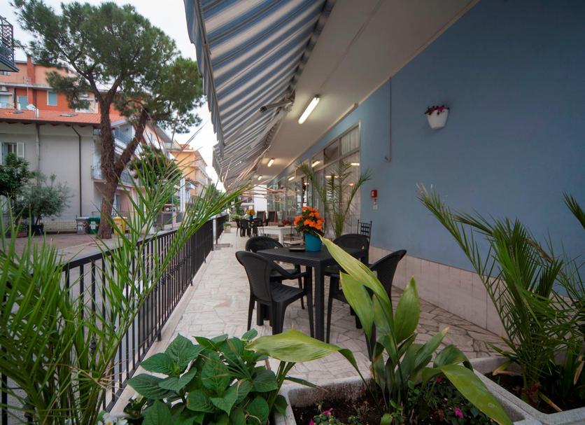 Patio Billede