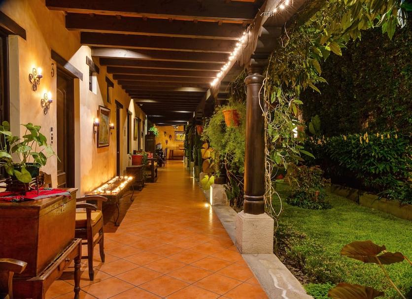 Patio Billede
