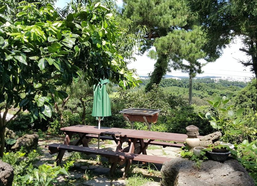Patio Billede