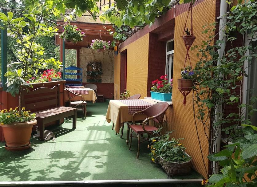 Patio Billede