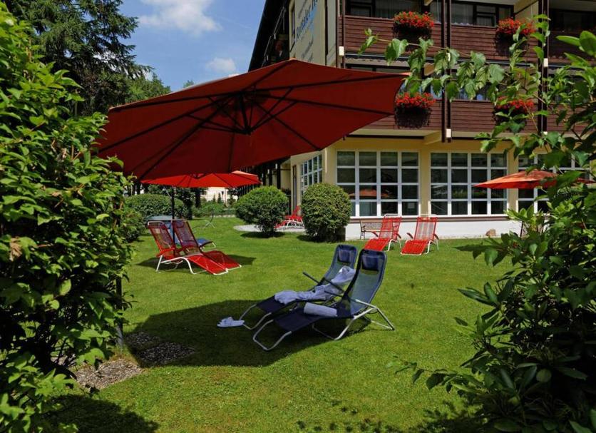 Patio Billede