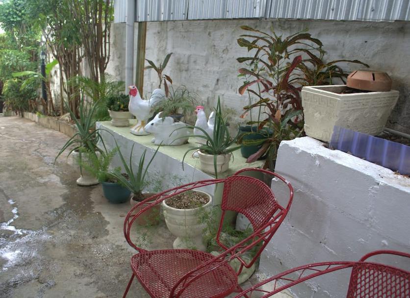 Patio Billede