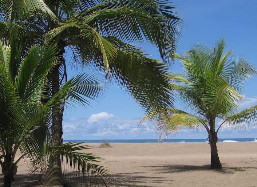 Strand Billede