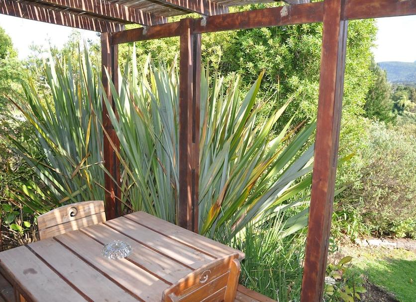 Patio Billede