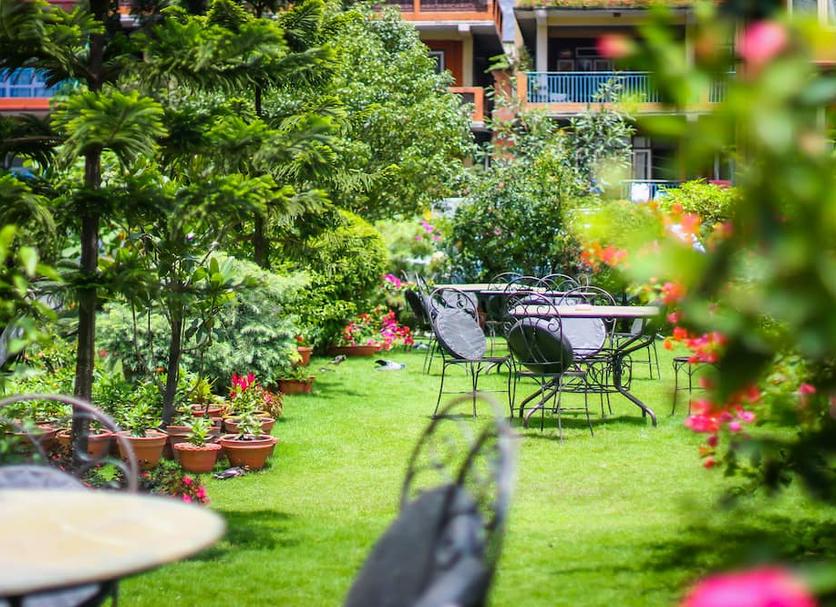Patio Billede