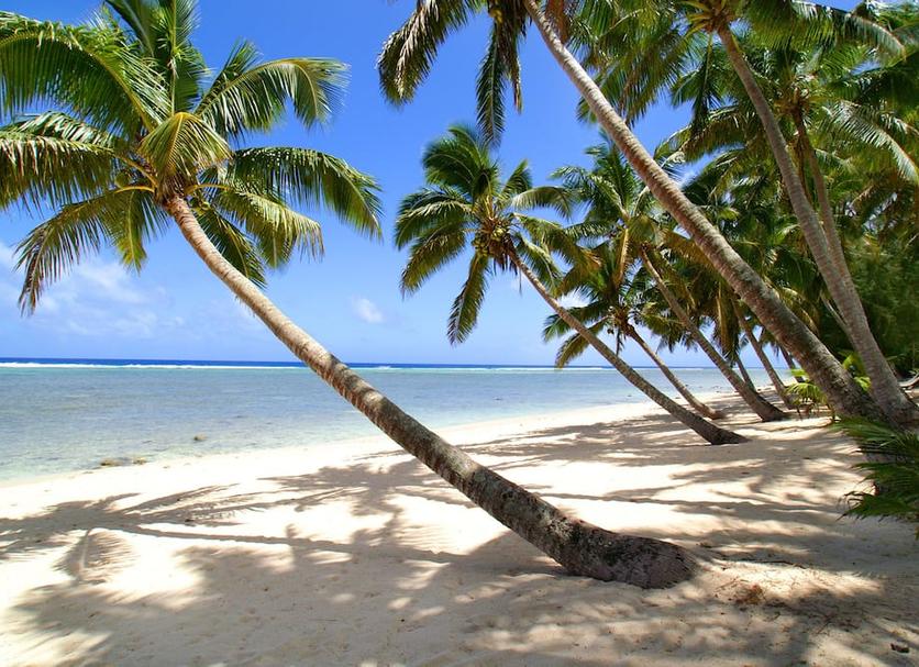 Strand Billede