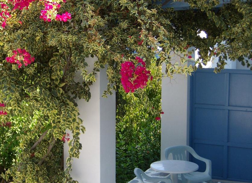 Patio Billede
