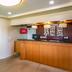 Receptionist