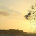 Andet