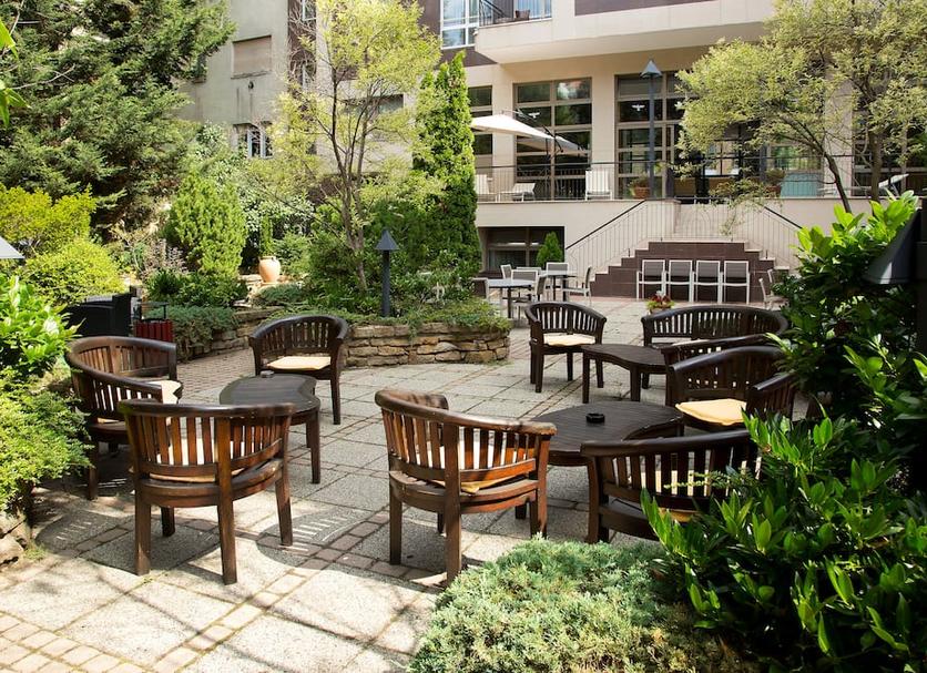 Patio Billede