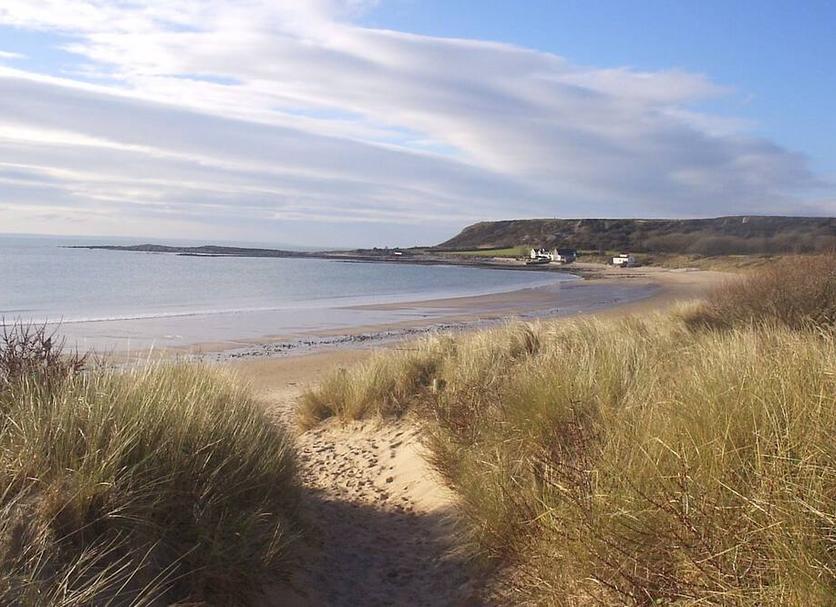 Strand Billede