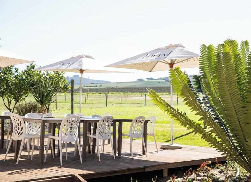 Patio Billede