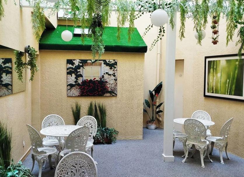 Patio Billede