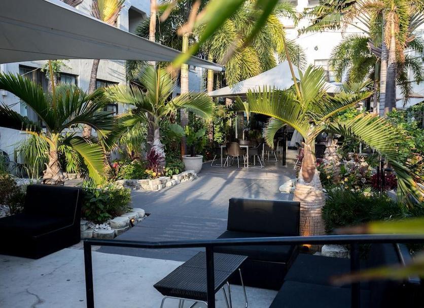 Patio Billede
