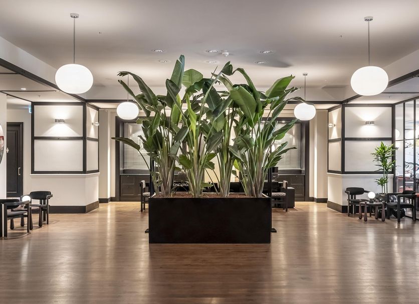 Reception Billede