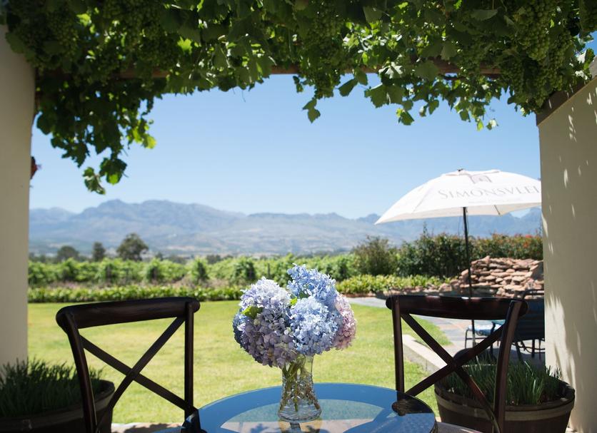Patio Billede