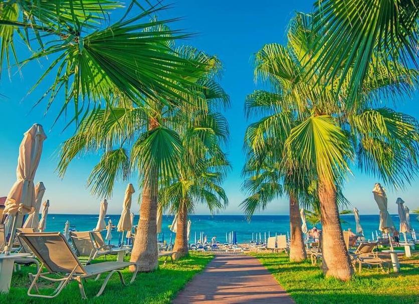 Strand Billede