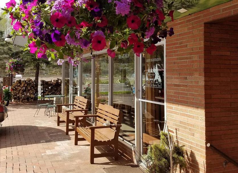 Patio Billede